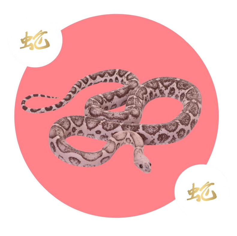 snake red background